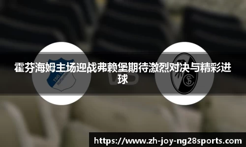 霍芬海姆主场迎战弗赖堡期待激烈对决与精彩进球