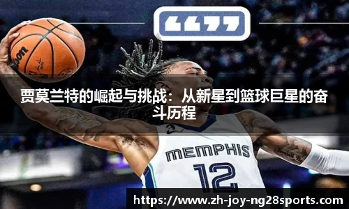 NG28娱乐